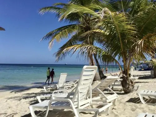 Tortuga Bahia Lower Unit
