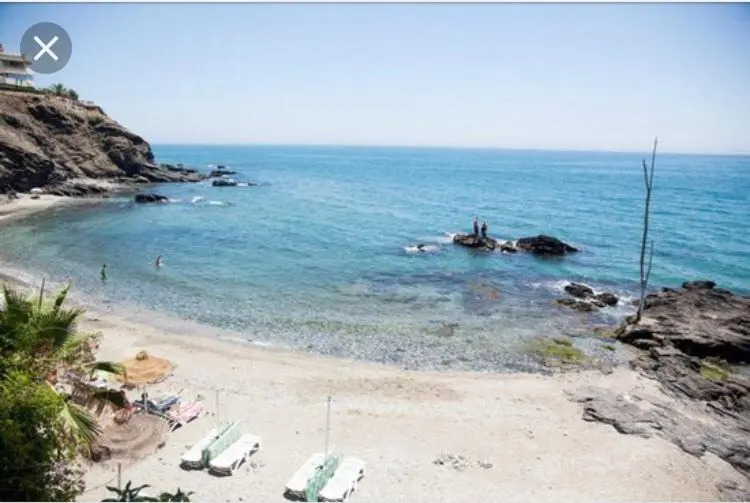 Bajo Las Palmeras