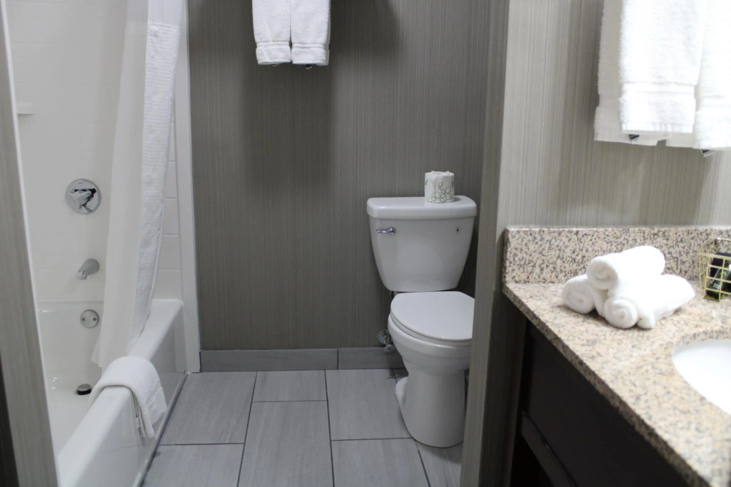 The Black Swan Lee - Lenox, an Ascend Collection Hotel