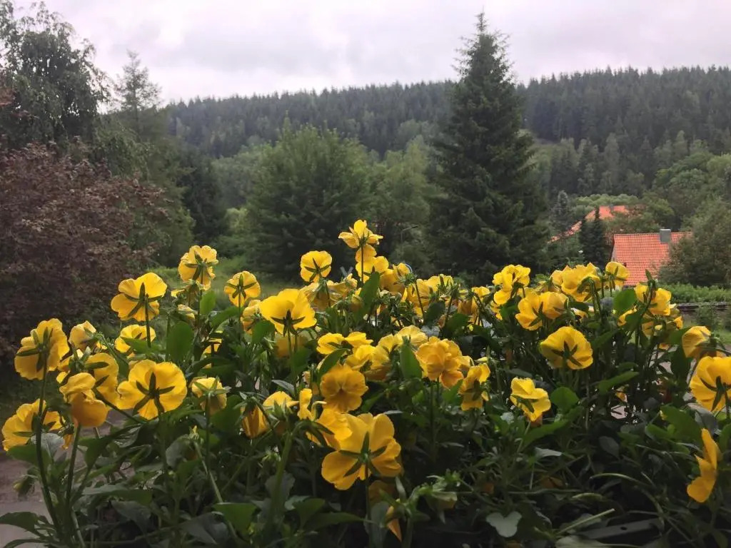 Pension Raststüb'l