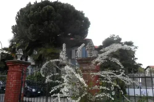 B&B Il Passito Caluso