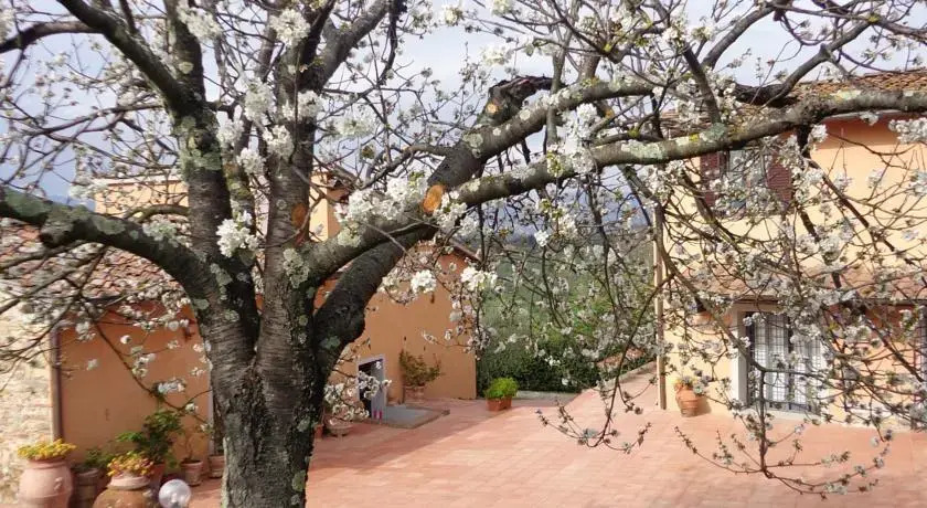 Podere Capiteto