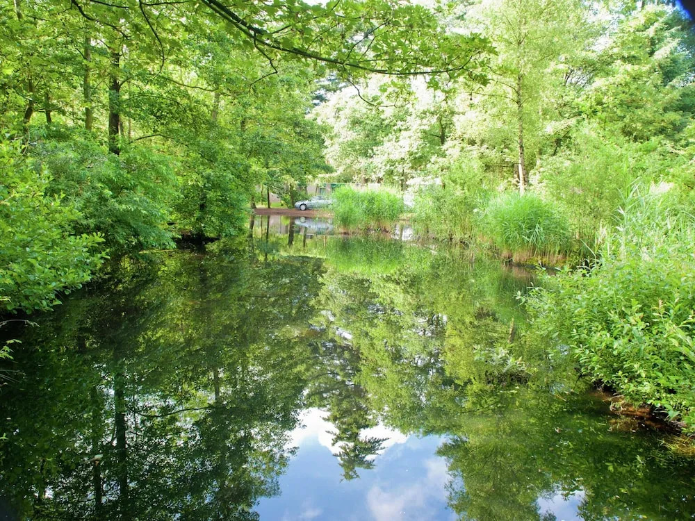 Veluwe Forest Bungalow