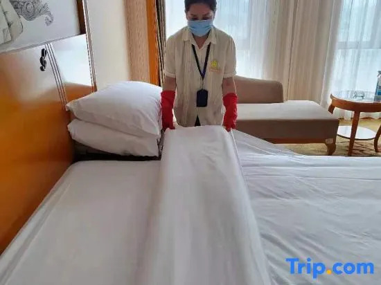 Vienna International Hotel (Jilin Guotou Zhongdong)