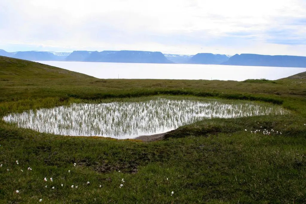 Hotel Isafjordur - Horn