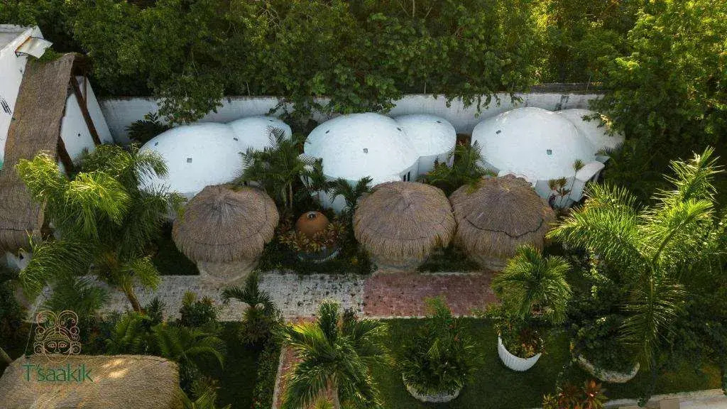Tsaakik Jungle Hotel & Spa
