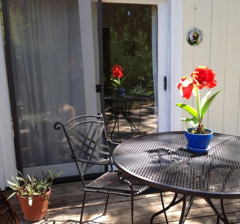 Backyard Garden Oasis