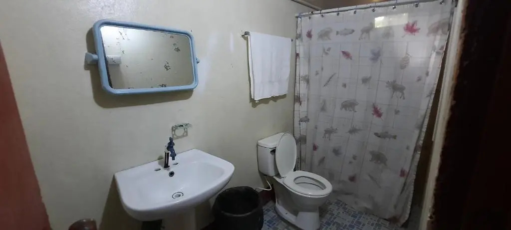 Tropical Dreams Hostel