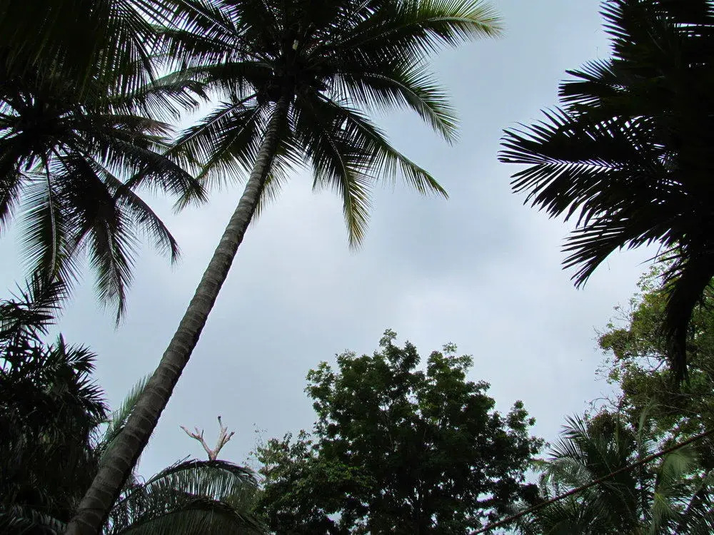 Kachá B&B Beach Front