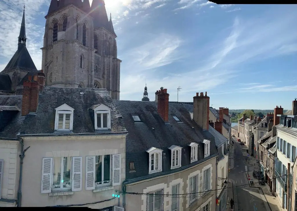T2 - Au calme RoyaLoire - château à vue - luxe, rénové 2022