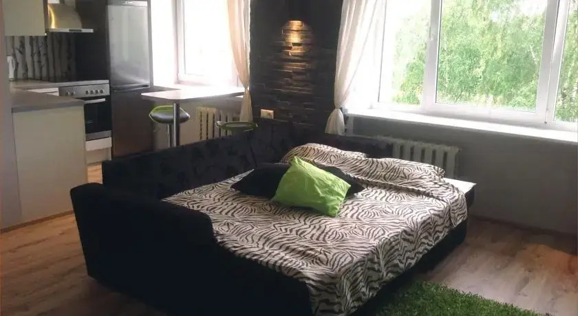 Sunny Studio Apartment