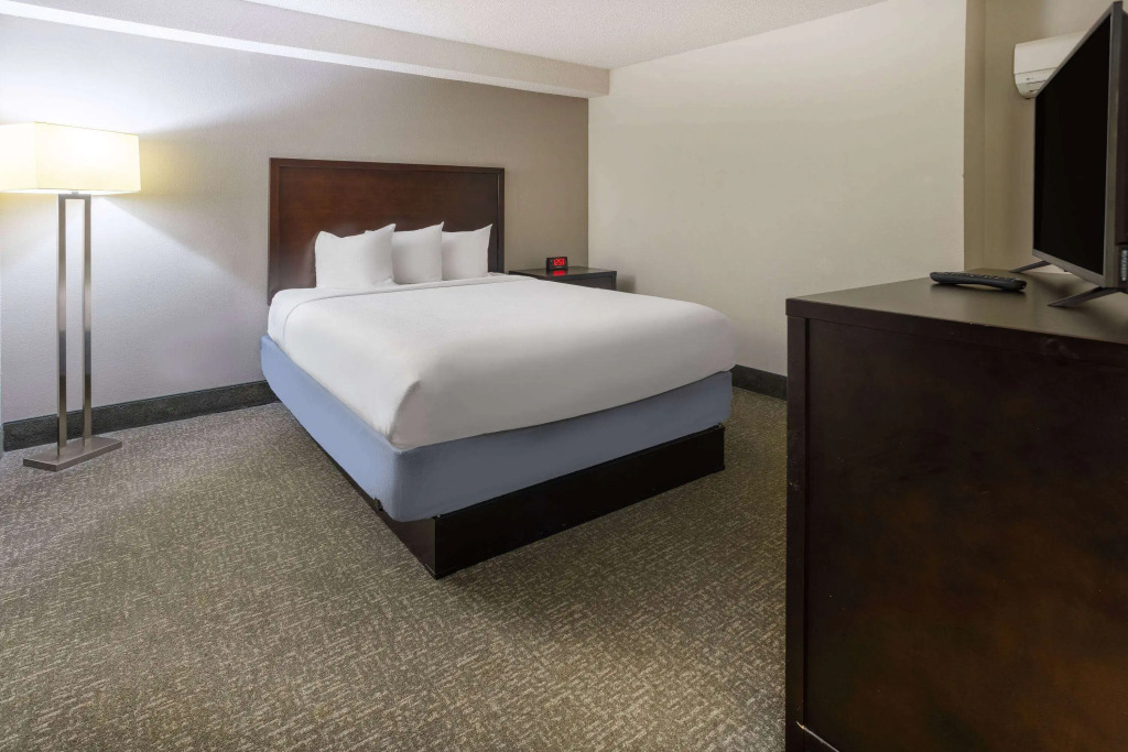 Wingate by Wyndham Atlanta Galleria/ Ballpark