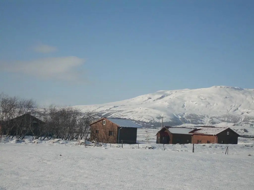 Geysir Hestar