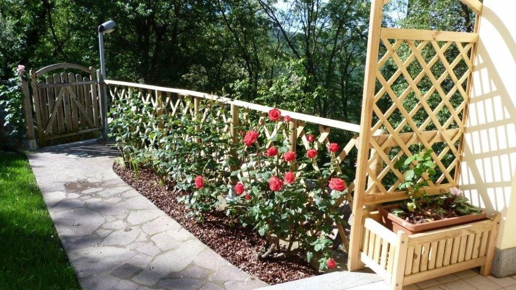 Bed & Breakfast LApe Operaia