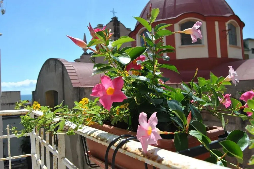 B&B Serenella