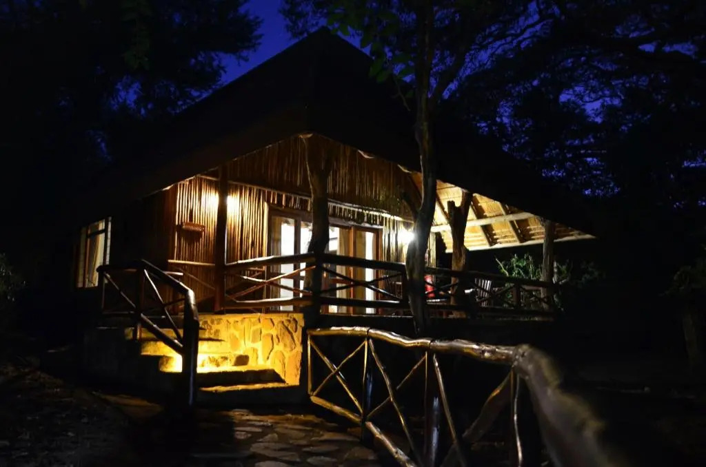 Moholoholo Forest Camp