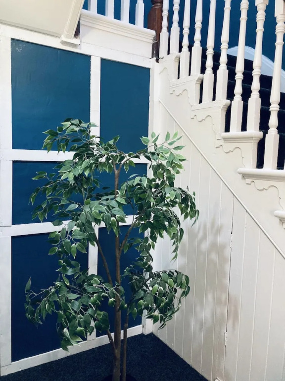 Abbeyfield Guesthouse