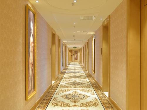 Vienna Hotel (Wuhan Tianhe Airport Penglongcheng Ju Long Avenue Branch)