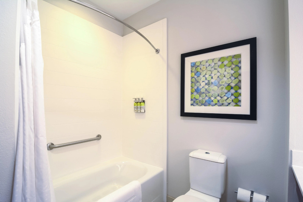 Holiday Inn Express Hotel & Suites Tampa-USF-Busch Gardens by IHG