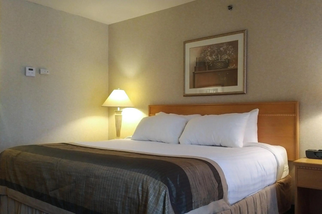 Flamingo Hotel