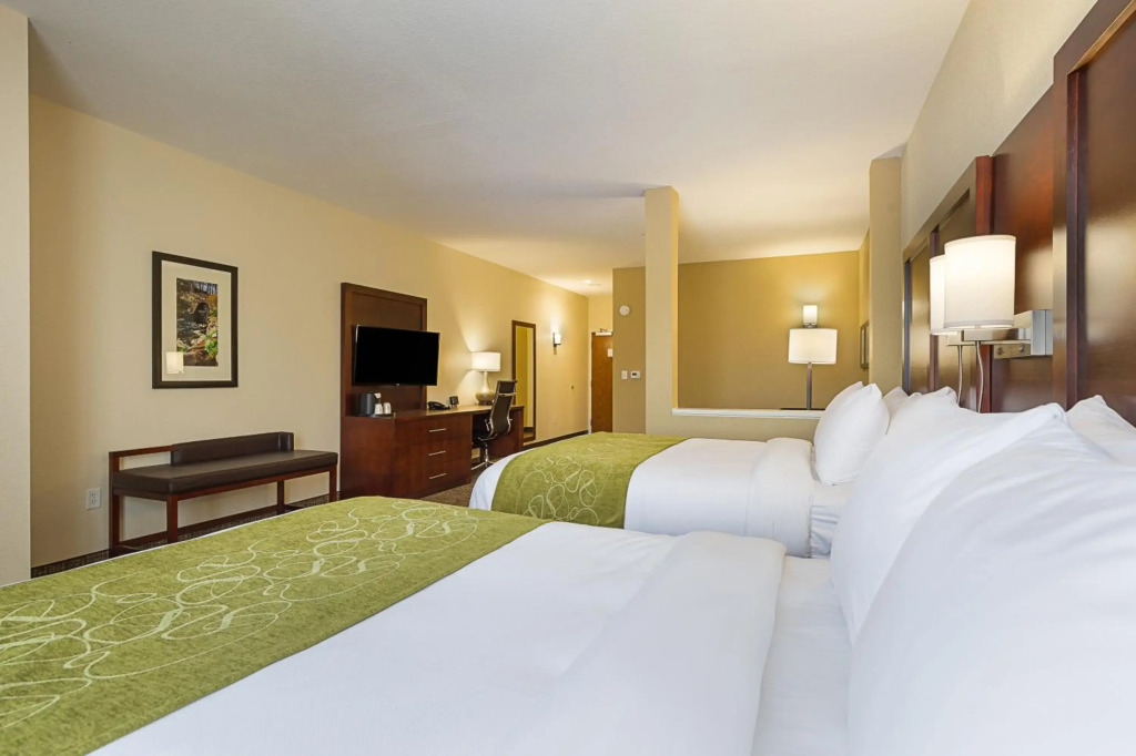 Comfort Suites Piedmont - Greenville South