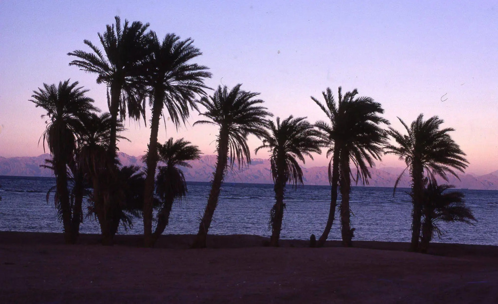 Star Of Dahab Hotel