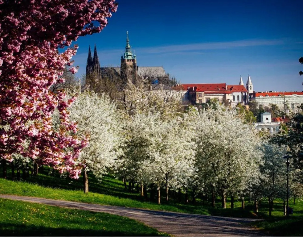 City centre APT Prague by Michal&Friends