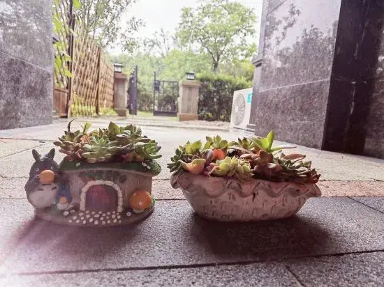 Haiyueshu Xiaoxu Holiday Homestay (Zhubai Road)