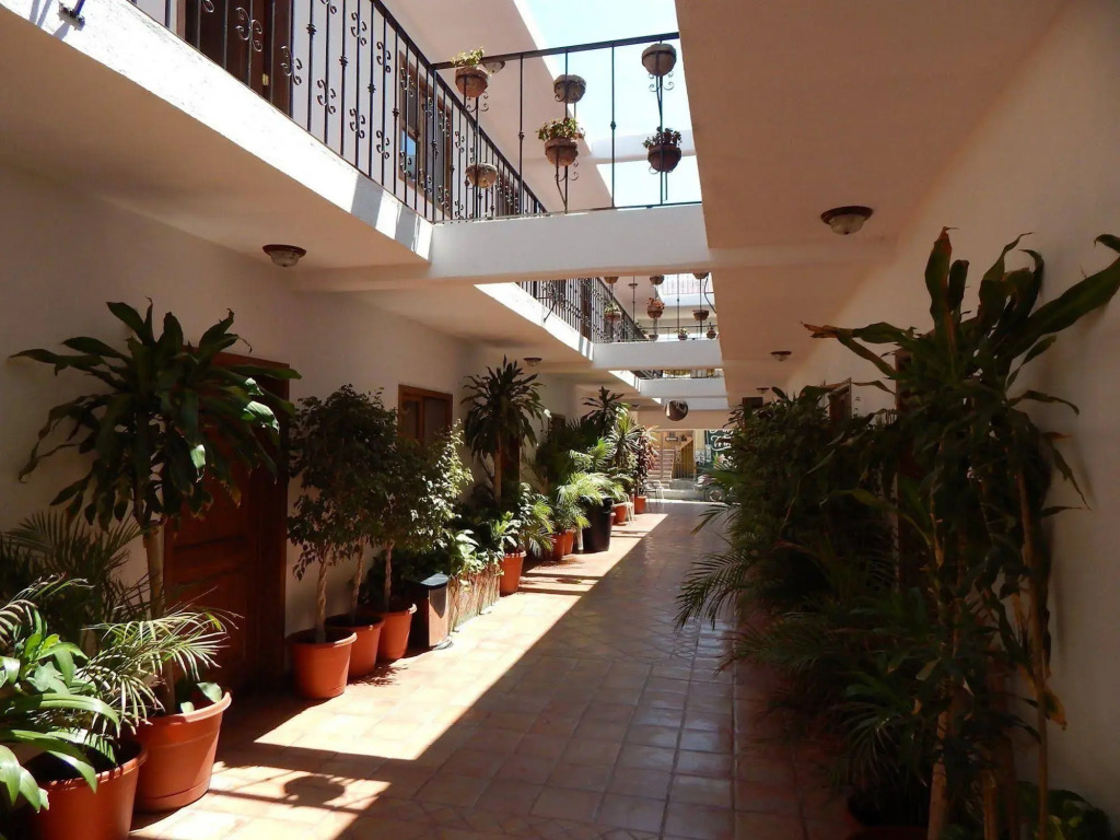 The Cabo Cush Hotel