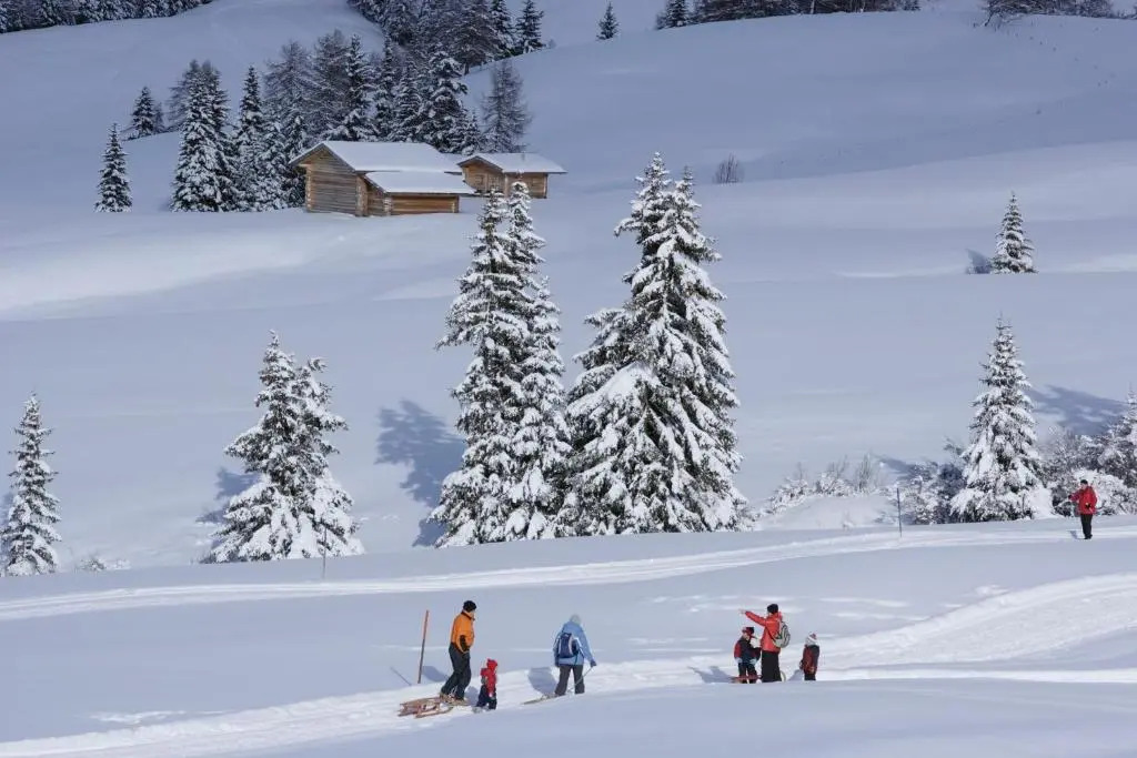 Apartment Antholzersee