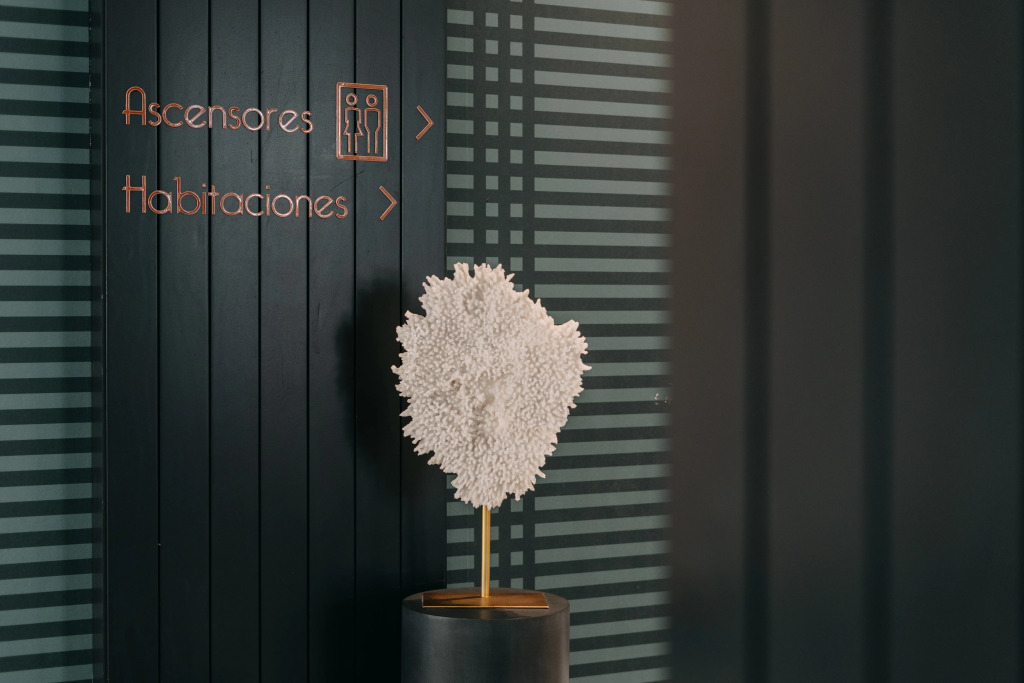 Soho Boutique Colón