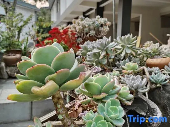 Yuan Zili Homestay