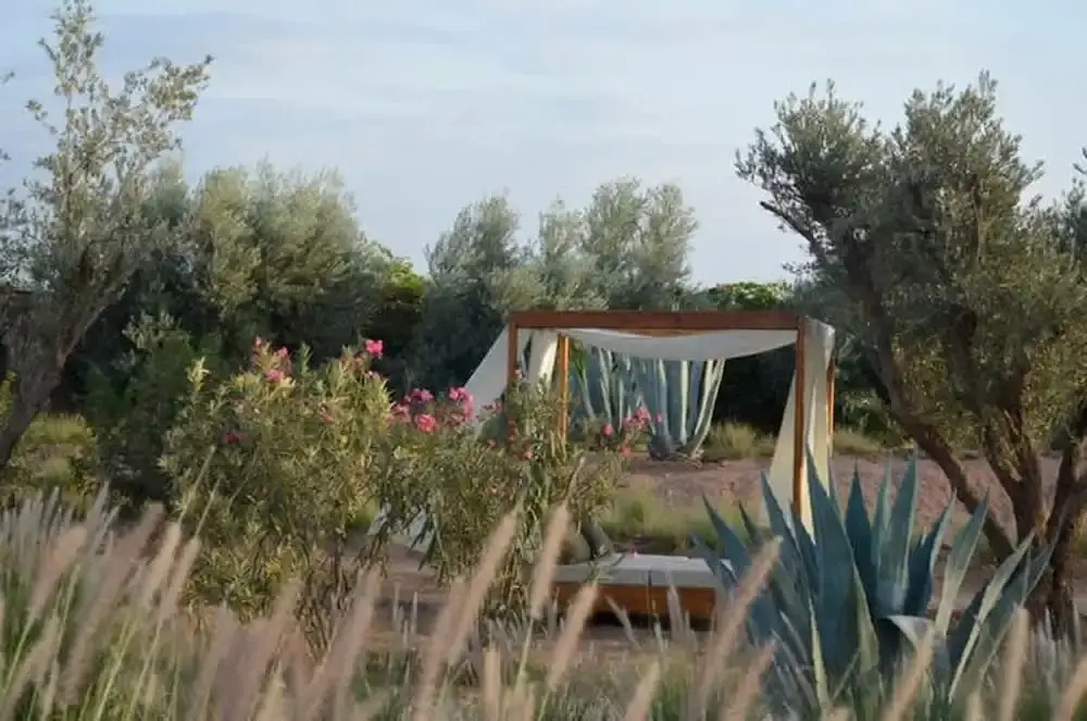 Villa Sylana Design Meets Moroccan Authenticity