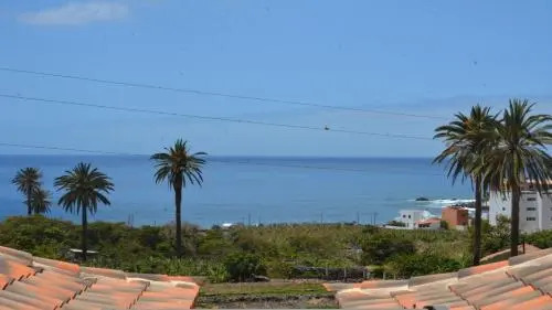APT. HELICONIA Nº 4