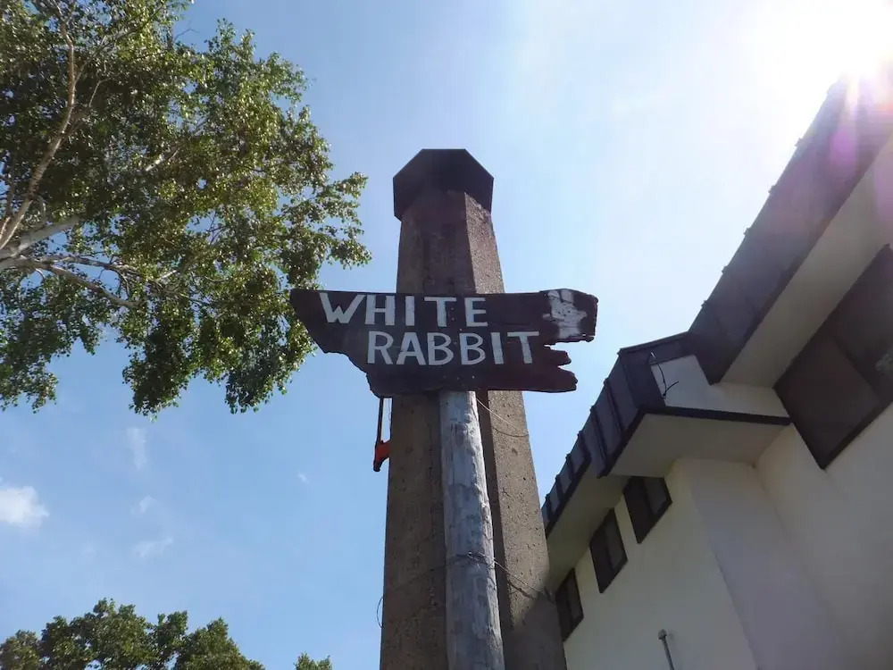 White Rabbit Madarao
