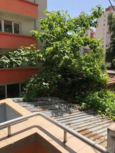 Apartment Lili
