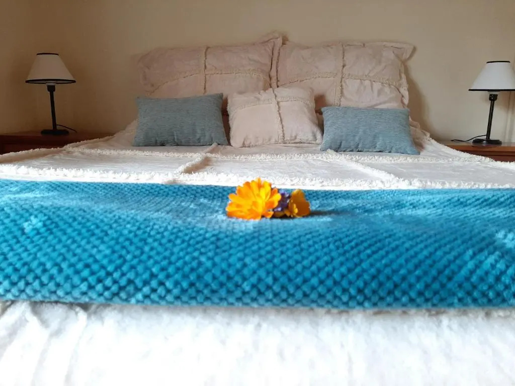 CHOCHO - Cálida casita céntrica hasta 4 pax