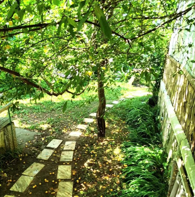 Деревенский домик,Eco Chakvi