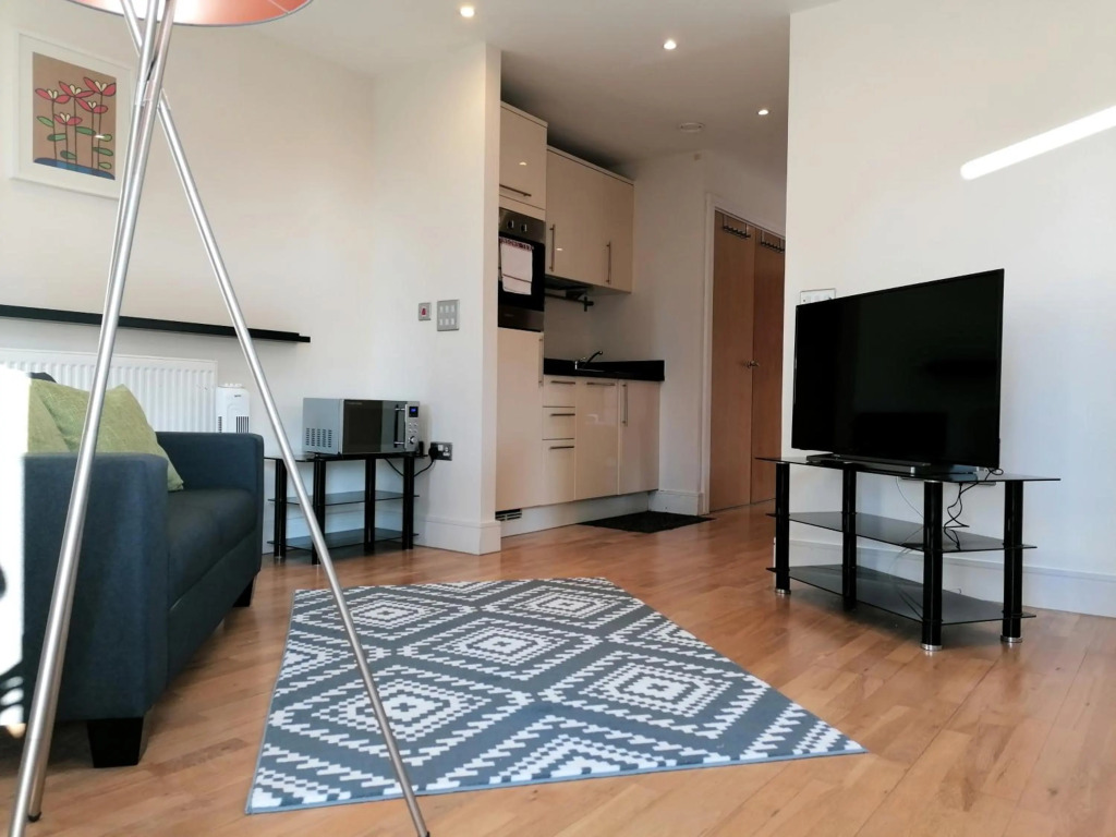 Beautiful comfy Apartment in London