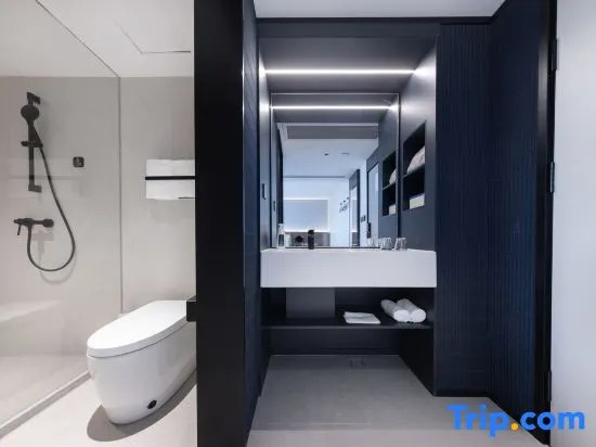 Atour Light Hotel Shenzhen North Station East Plaza