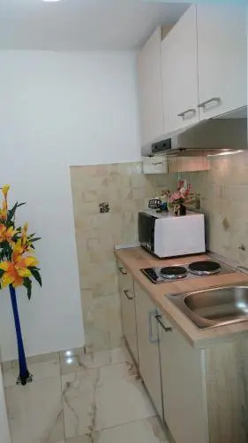 Apartments Ina