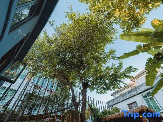 Jinshui Wenyuan Homestay
