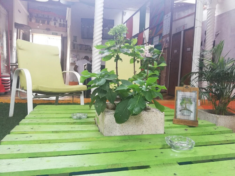 Tree House Hostel