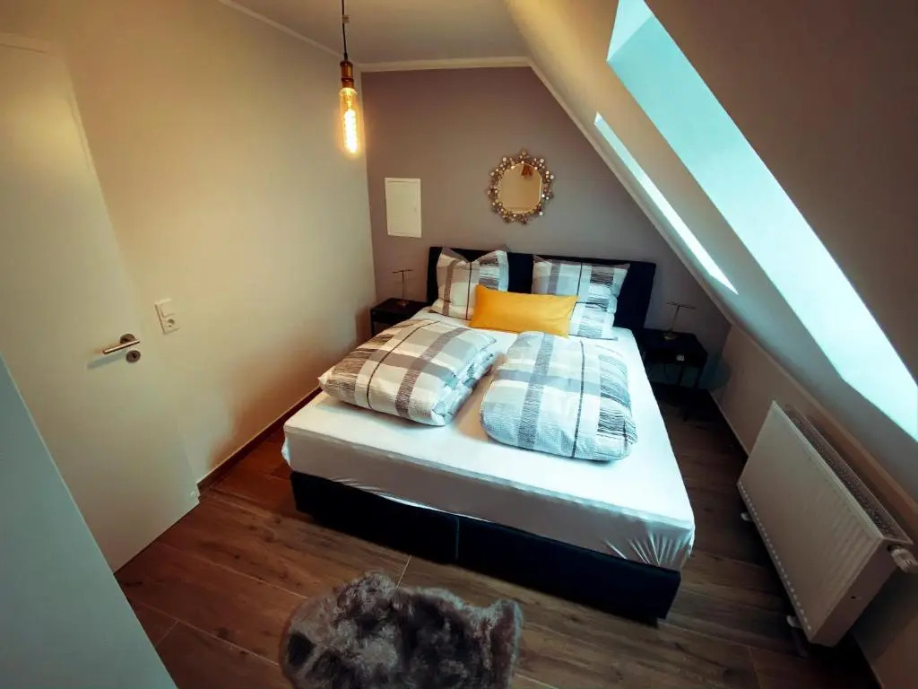 Erasmus 1901 Apartments