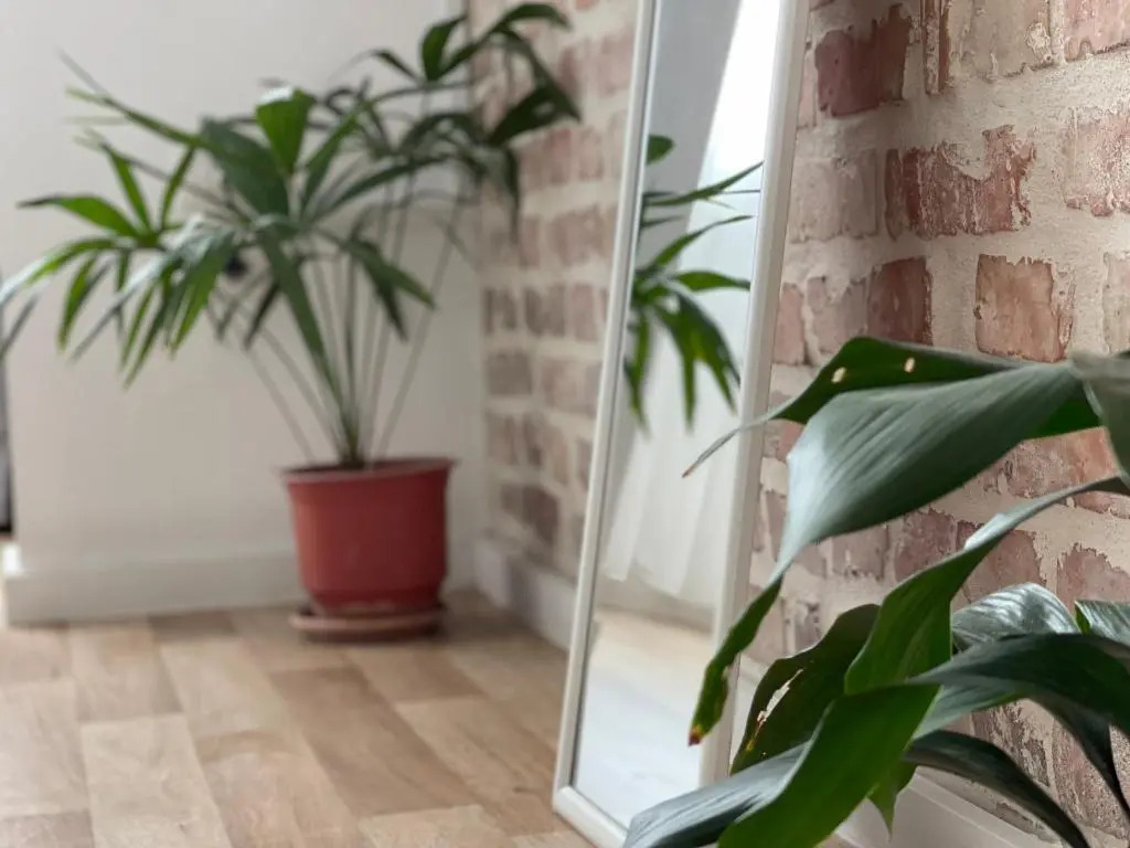 Bricks Studio Apartments
