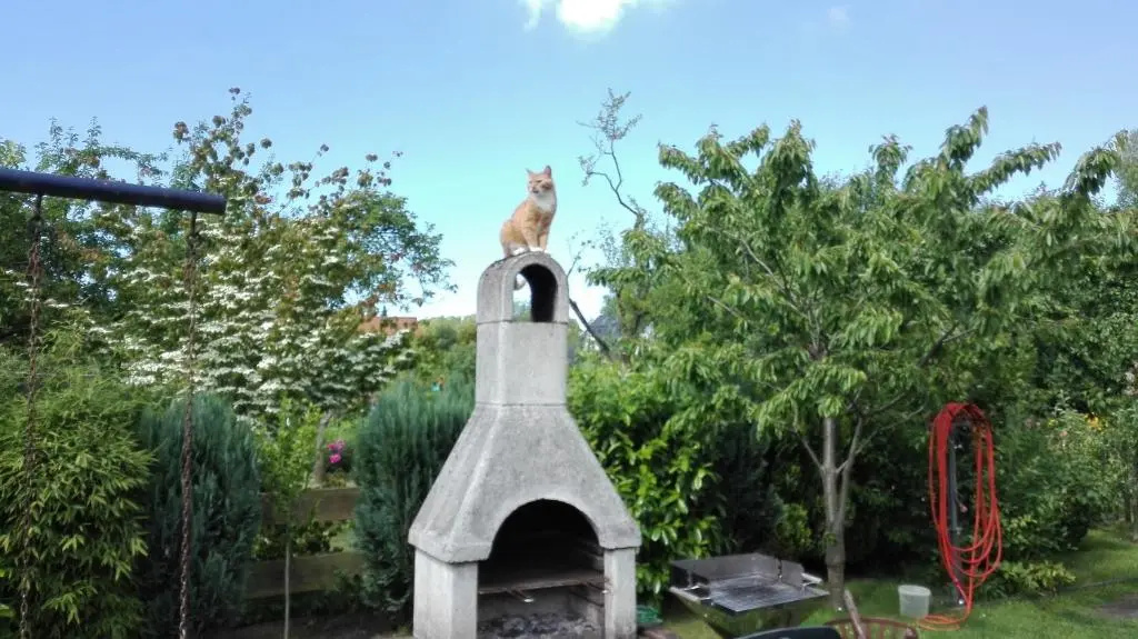 Ferienwohnung Kleine Moewe