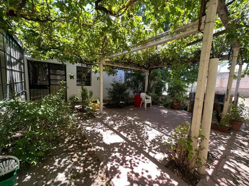 Casa Olivos 2