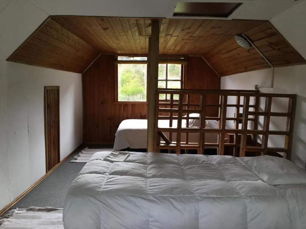 Bosque Patagonico Cabañas y Camping