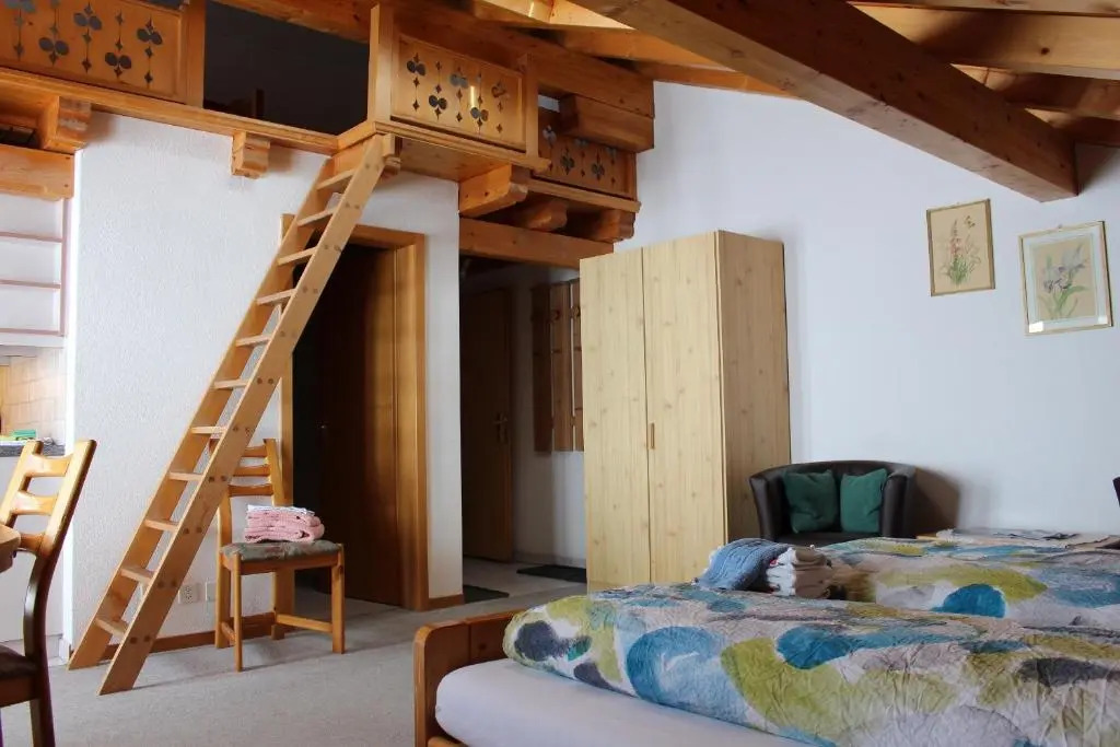 Chalet Spinne