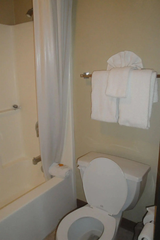 Siena Suites Hotel